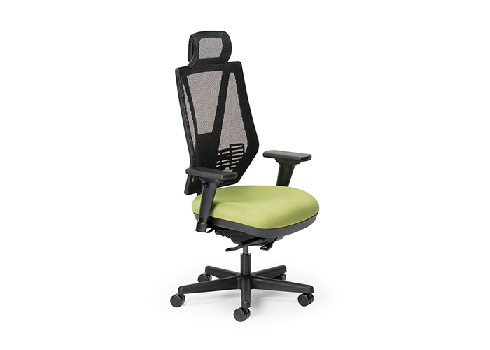 Ergonomic Seating